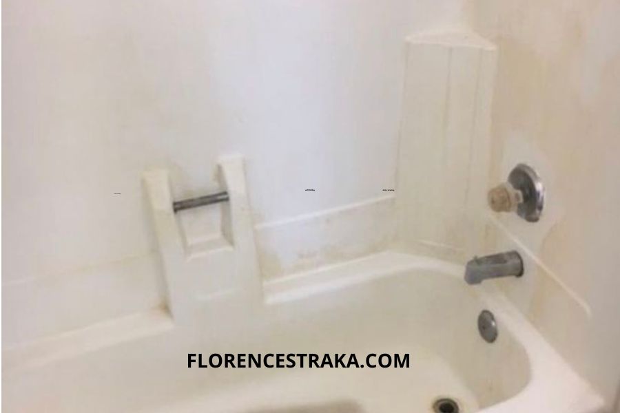 how-to-build-a-successful-house-cleaning-service-florence-straka
