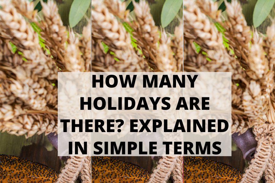 How Many Holidays Are There Explained in Simple Terms