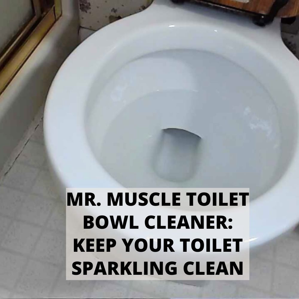 Mr. Muscle Toilet Bowl Cleaner