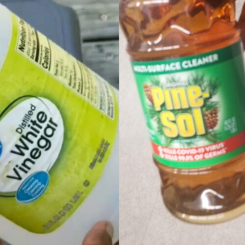 Can you mix Pine Sol and Bleach: A Safety Guide