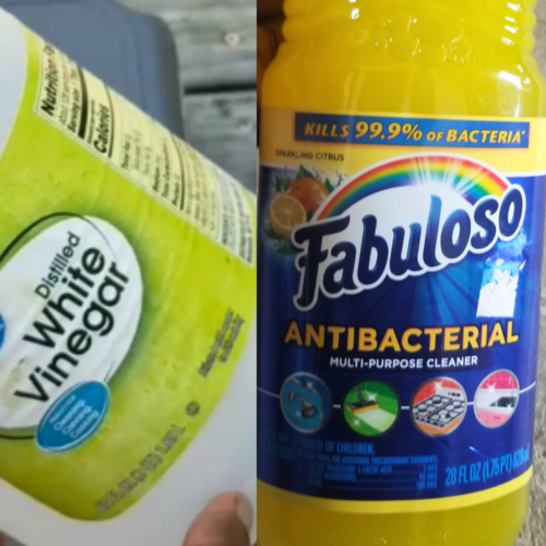 Can you mix vinegar and fabuloso? The Pros And Cons