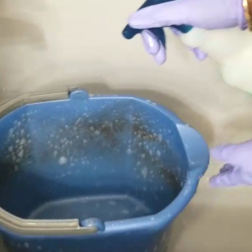 How To Clean Bucket 